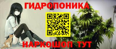 твердый Новодвинск